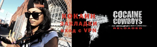 шишки Арсеньев