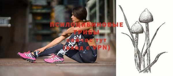 дмт Семёнов