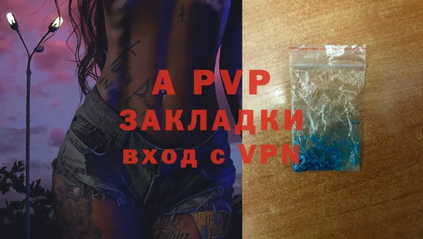трава Аркадак